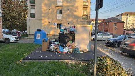 Insule 'îngropate': Primele eco-insule digitalizate din Oradea sunt înconjurate de mormane de gunoaie. Care e problema? (FOTO)