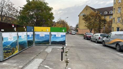 Insule 'îngropate': Primele eco-insule digitalizate din Oradea sunt înconjurate de mormane de gunoaie. Care e problema? (FOTO)