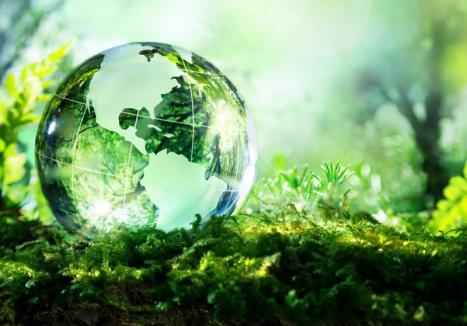 Zile 'verzi' în Oradea: Ecotop organizează un festival ecologist