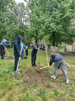 Au învățat grădinărind: Elevii unei școli din Oradea au descoperit permacultura (FOTO)