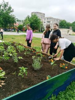 Au învățat grădinărind: Elevii unei școli din Oradea au descoperit permacultura (FOTO)