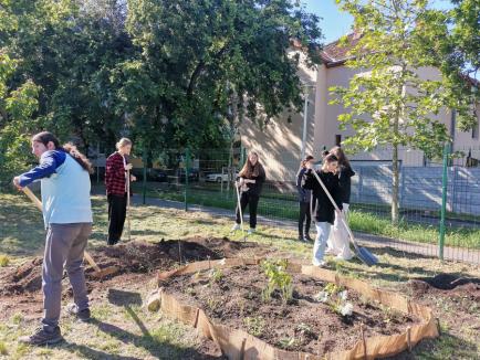 Au învățat grădinărind: Elevii unei școli din Oradea au descoperit permacultura (FOTO)