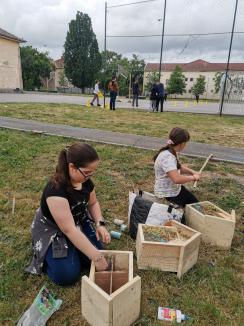 Au învățat grădinărind: Elevii unei școli din Oradea au descoperit permacultura (FOTO)