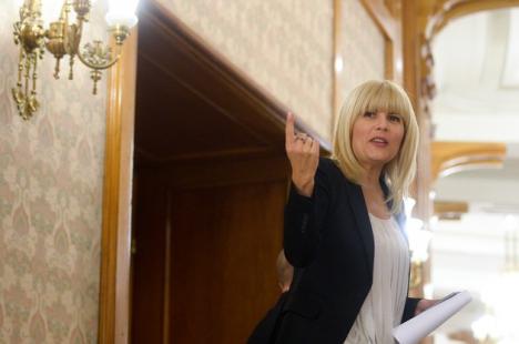 Elena Udrea poate fi reţinută, dar nu şi arestată