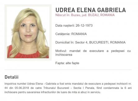 Elena Udrea a fugit din țară și a fost dată în urmărire de Poliție!