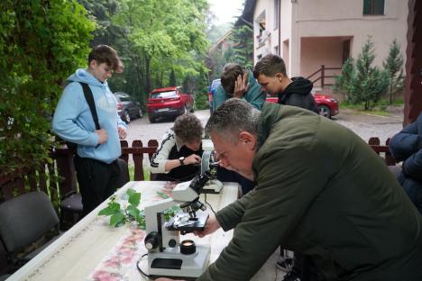 Școală în aer liber. Tabere de ecologie pentru elevi din tot Bihorul, în Luna curățeniei (FOTO)