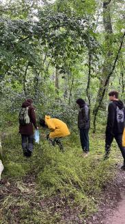 Școală în aer liber. Tabere de ecologie pentru elevi din tot Bihorul, în Luna curățeniei (FOTO)