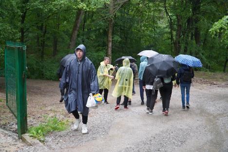 Școală în aer liber. Tabere de ecologie pentru elevi din tot Bihorul, în Luna curățeniei (FOTO)