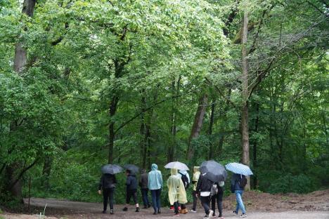 Școală în aer liber. Tabere de ecologie pentru elevi din tot Bihorul, în Luna curățeniei (FOTO)