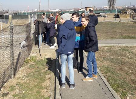 Elevi de la Școala Nicolae Bălcescu, în vizită la Adăpostul Grivei (FOTO)
