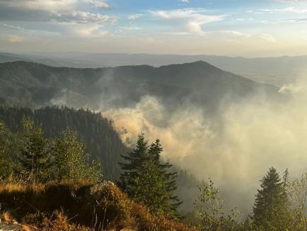 Incendiu forestier masiv în Bihor, între Budureasa şi Stâna de Vale: Salvatorii intervin cu un elicopter şi pe jos, prin pădure (VIDEO)