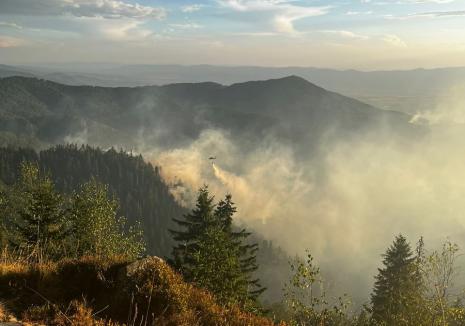 Incendiu forestier masiv în Bihor, între Budureasa şi Stâna de Vale: Salvatorii intervin cu un elicopter şi pe jos, prin pădure (VIDEO)