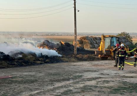 Incendiu la o fermă de 500 de măgari și măgărițe din Bihor (FOTO/VIDEO)