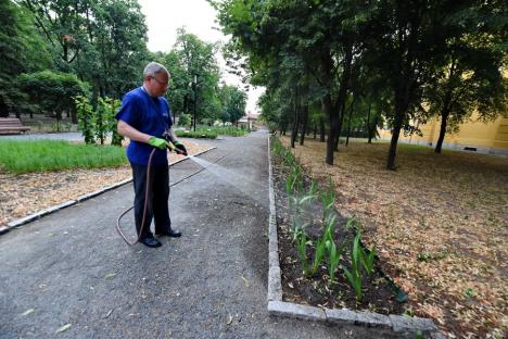 Episcop grădinar: PS Böcskei László, surprins în timp ce uda florile, pentru ca angajații să poată merge la ștrand