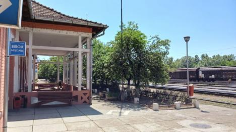 Cartierul episcopului: Cum a ajuns satul Episcopia Bihor o importantă zonă rezidențială a Oradiei (FOTO)