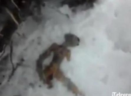 Ruşii pretind că au găsit un cadavru de extraterestru (VIDEO)