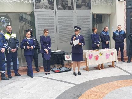 Trei căţeluşi salvaţi în misiuni de poliţişti şi-au găsit stăpâni în doar o oră, în centrul Oradiei (FOTO)