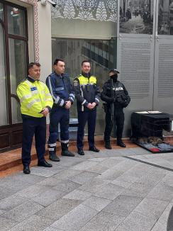 Trei căţeluşi salvaţi în misiuni de poliţişti şi-au găsit stăpâni în doar o oră, în centrul Oradiei (FOTO)