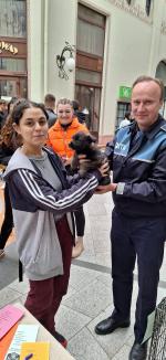 Trei căţeluşi salvaţi în misiuni de poliţişti şi-au găsit stăpâni în doar o oră, în centrul Oradiei (FOTO)