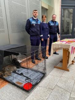 Trei căţeluşi salvaţi în misiuni de poliţişti şi-au găsit stăpâni în doar o oră, în centrul Oradiei (FOTO)