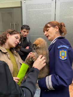 Trei căţeluşi salvaţi în misiuni de poliţişti şi-au găsit stăpâni în doar o oră, în centrul Oradiei (FOTO)