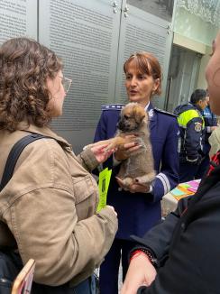 Trei căţeluşi salvaţi în misiuni de poliţişti şi-au găsit stăpâni în doar o oră, în centrul Oradiei (FOTO)