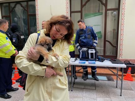 Trei căţeluşi salvaţi în misiuni de poliţişti şi-au găsit stăpâni în doar o oră, în centrul Oradiei (FOTO)