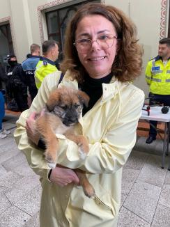 Trei căţeluşi salvaţi în misiuni de poliţişti şi-au găsit stăpâni în doar o oră, în centrul Oradiei (FOTO)