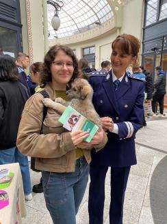 Trei căţeluşi salvaţi în misiuni de poliţişti şi-au găsit stăpâni în doar o oră, în centrul Oradiei (FOTO)