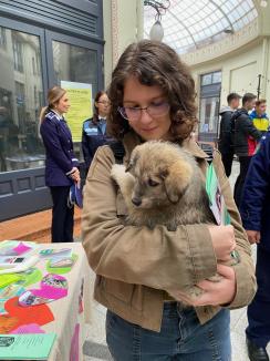 Trei căţeluşi salvaţi în misiuni de poliţişti şi-au găsit stăpâni în doar o oră, în centrul Oradiei (FOTO)