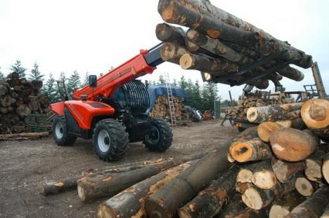 Comisarii de mediu au găsit în Bihor două firme de exploatare forestieră care funcţionau ilegal