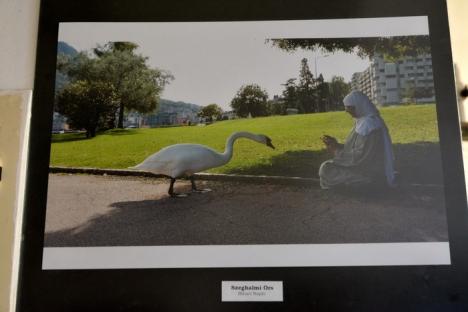 Fotografiile fotoreporterilor orădeni: O parte dintre cele mai bune imagini din presa scrisă pot fi admirate la Galeria Euro Foto Art (FOTO)