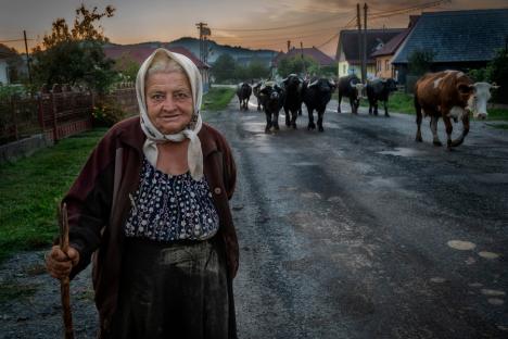 Fotografii din Maramureș, surprinse de artiști orădeni, vor fi expuse la Filarmonică (FOTO)