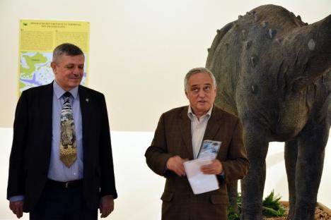 Invitaţie la Muzeu: Ultimii dinozauri din Transilvania, expuşi la Oradea (FOTO)