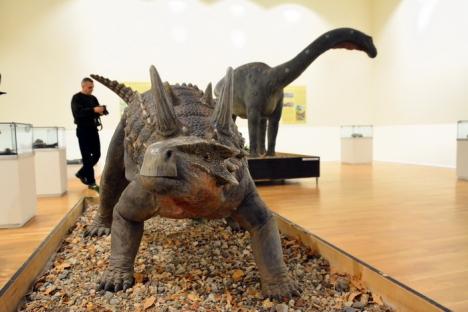 Expoziţia 'Ultimii dinozauri din Transilvania' poate fi vizitată la Muzeul Ţării Crişurilor până pe 4 martie