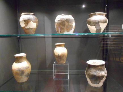 'Un patrimoniu imens!' Muzeul Ţării Crişurilor a prezentat expoziţia permanentă de arheologie şi istorie (FOTO)