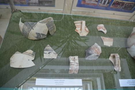 Urme din trecut: Orădenii pot vedea, vizitând o expoziţie găzduită de Universitate, obiectele care au fost găsite de arheologi în subteranul Pieţei Unirii (FOTO/VIDEO)