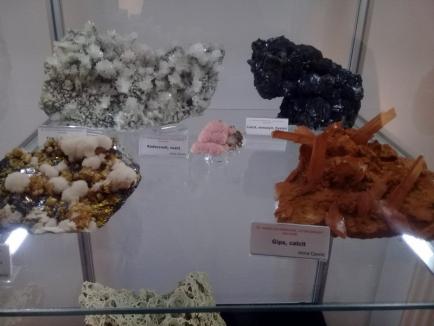 ”Zestrea Minerală a Maramureșului”: Un ”buchet” de flori de mină la Muzeul Orașului Oradea (FOTO)