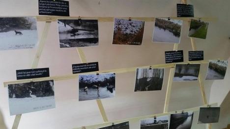 Wetlands: Elevii de la Ghibu şi-au expus fotografiile făcute pe râurile Peţa şi Crişul Repede (FOTO)