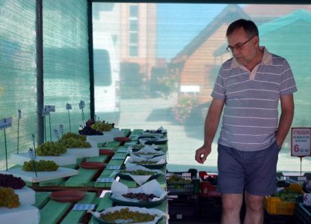 Poftiţi şi degustaţi! Bihorenii sunt invitaţi la o expoziţie de struguri în Sânmartin (FOTO)