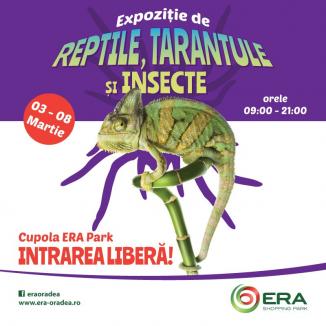 Cea mai mare expoziţie mobilă de tarantule, insecte şi reptile vii, la ERA Park Oradea!