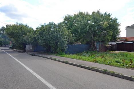 Birta demolatorul: Primarul Oradiei continuă politica lui Bolojan de a face exproprieri chiar şi acolo unde ar putea fi evitate (FOTO)