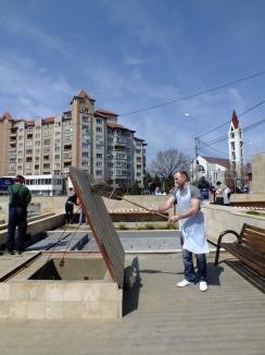 La muncă voluntară: Angajaţii Companiei de Apă au pregătit de primăvară zona verde din Dealul Păcii (FOTO)