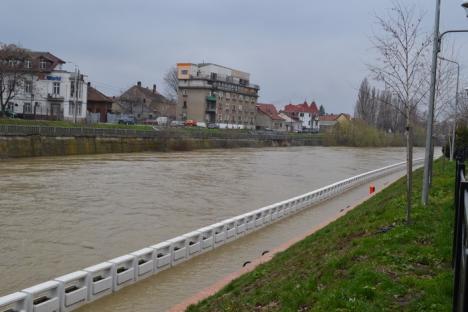 Peste 600 de hectare de teren inundate după ploile din weekend (FOTO)