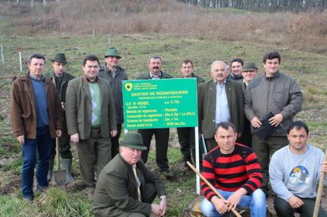 Direcţia Silvică Bihor a început curăţenia şi plantările: peste 450 hectare de pădure vor fi regenerate în acest an 