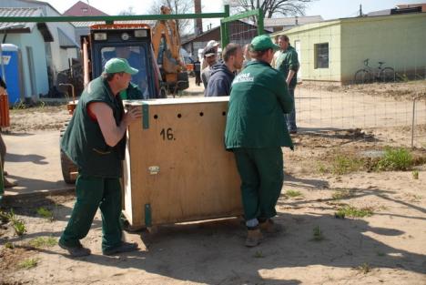 Primele animale noi la Zoo au sosit din Nyiregyhaza (FOTO)