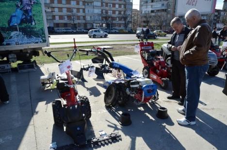 Cele mai noi tendinţe de amenajare de grădini şi terase, la Lotus Center (FOTO) 