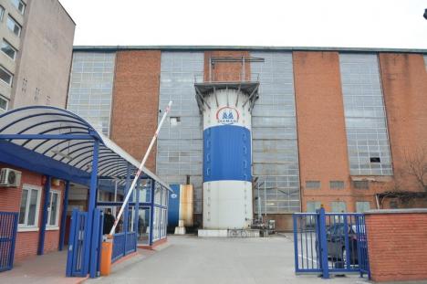 Duşi cu zăhărelul: Închiderea fabricii de zahăr din Oradea, politizată la maxim (FOTO)
