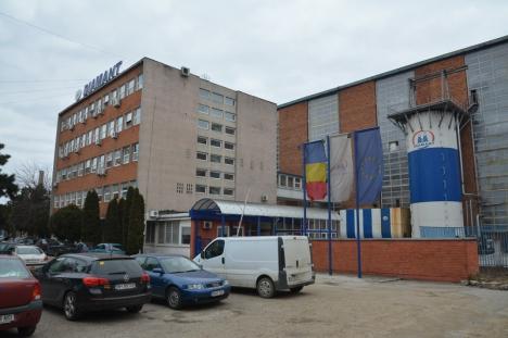 Duşi cu zăhărelul: Închiderea fabricii de zahăr din Oradea, politizată la maxim (FOTO)