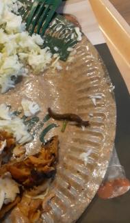 Cu melcul viu în farfurie! Restaurantul Mesopotamia din Lotus Center Oradea, amendat de Protecția Consumatorilor (FOTO/VIDEO)